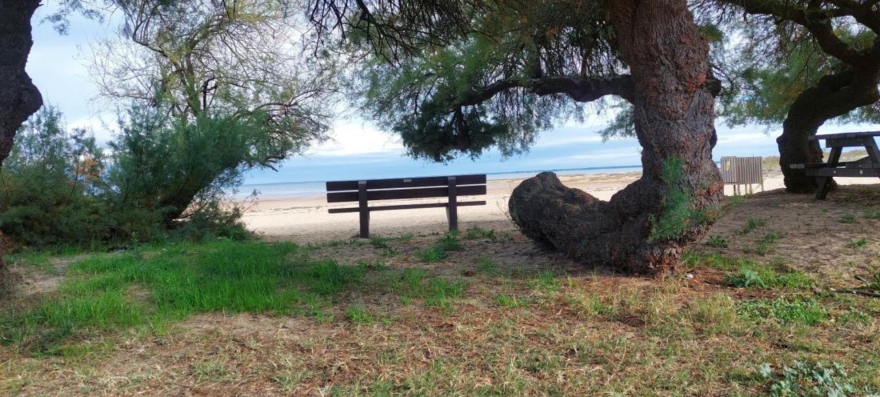 Un Logement Cosy Proche Des Ports Villa Gujan-Mestras Buitenkant foto